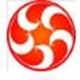 傻瓜视频助手1.0
