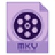 Dimo MKV Video Converter4.6.1