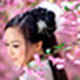桃花相册2.4